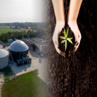 Organic Fertilizer